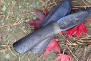 thmb-yakut-bahenni-dub-21-cm-840.jpg
