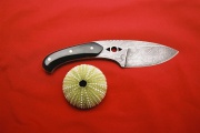 thmb-119-320.JPG