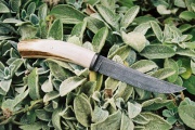 thmb-128-337.JPG