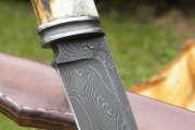 thmb-144-365.jpg