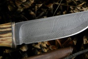 thmb-164-545.jpg