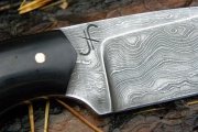 thmb-168-555.jpg
