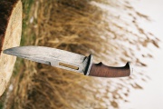 thmb-27-175.JPG