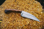 thmb-47-201.JPG