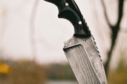 thmb-49-203.JPG