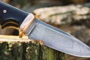 thmb-64-221.JPG