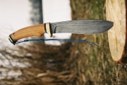 thmb-7-155.JPG