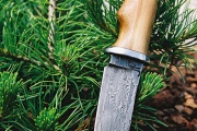 thmb-82-246.jpg