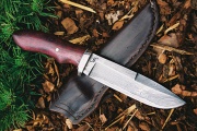 thmb-85-249.jpg