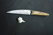 thmb-akatovej-324.JPG