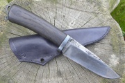 thmb-baheni-dub-697.JPG