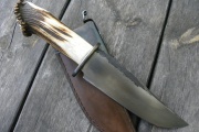 thmb-bowie-31cm-810.JPG