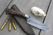 thmb-deer-727.JPG