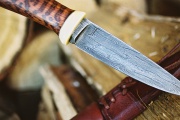 thmb-hadi-drevo-296.JPG