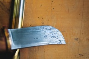 thmb-jalovcovej-262.JPG