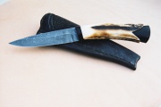 thmb-jelinek-376.jpg