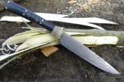 thmb-oryxovej-481.jpg