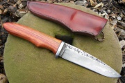 thmb-redwood-474.jpg
