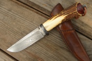 thmb-sambar-korenice-710.JPG