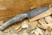 thmb-zirafi-362.jpg