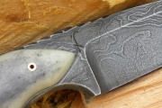 thmb-zirafi-363.jpg